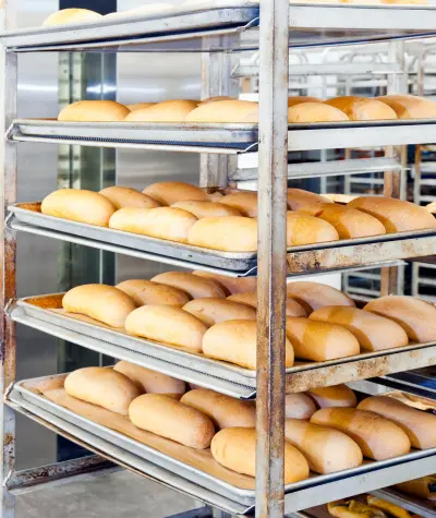 Bakery Kitchen Equipment